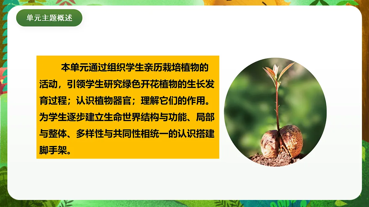 教科版(2017)科学四下1.8《凤仙花的一生》课时课件第2页