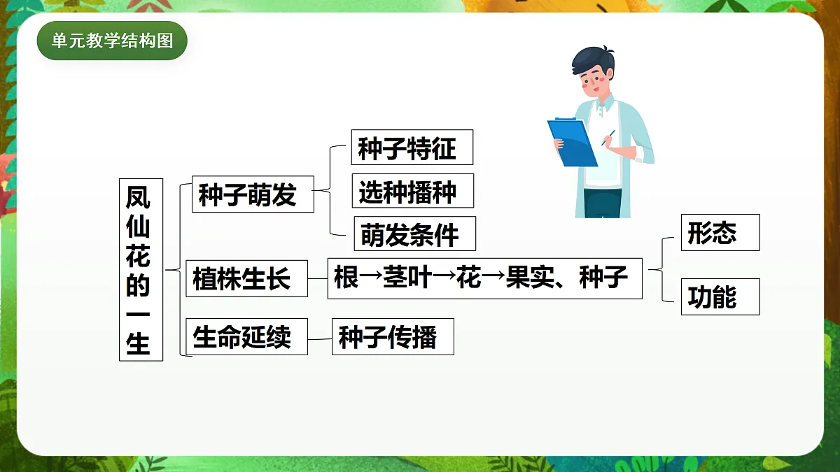 教科版(2017)科学四下1.8《凤仙花的一生》课时课件第3页