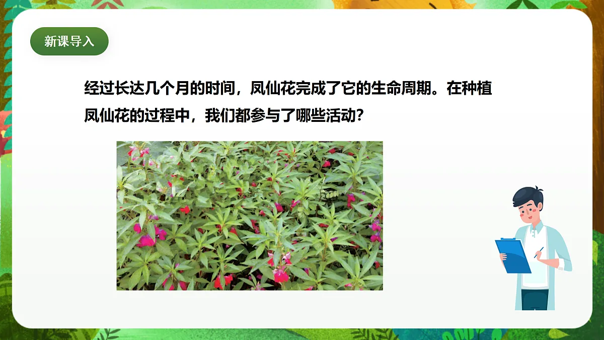 教科版(2017)科学四下1.8《凤仙花的一生》课时课件第5页