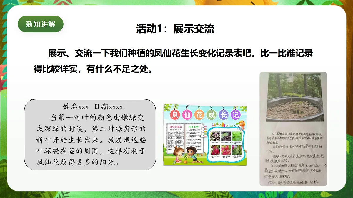 教科版(2017)科学四下1.8《凤仙花的一生》课时课件第8页