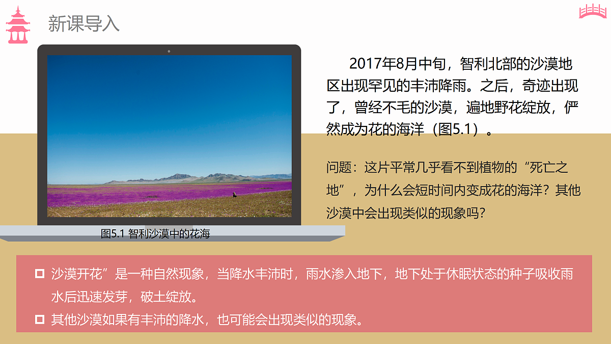 17511154第2页