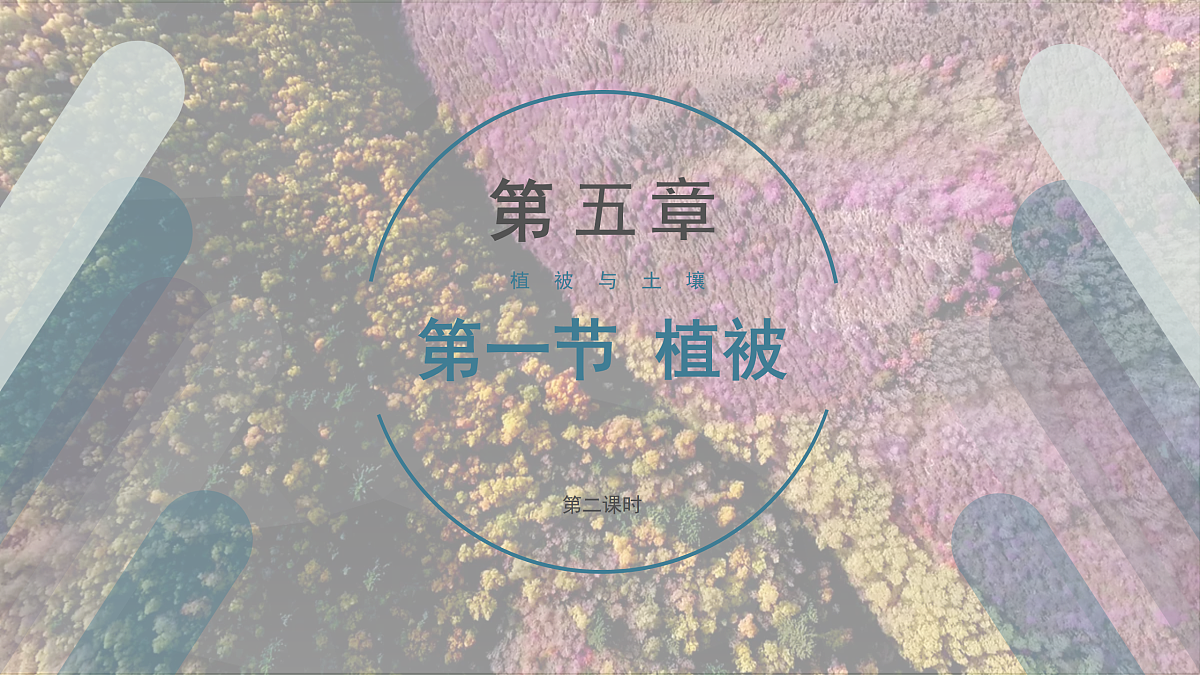 17511155第1页