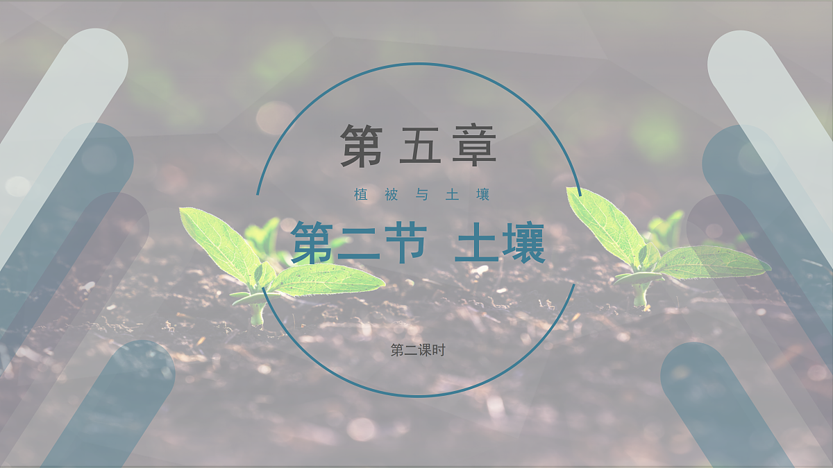 17511157第1页