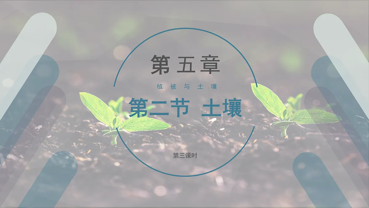 17511158第1页
