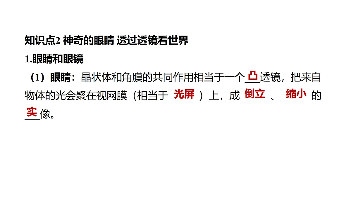 教科版物理八年级上册专用复习3 透镜及其应用第8页