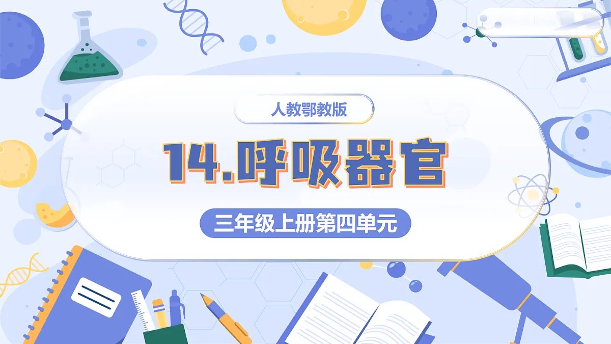 17513376第1页