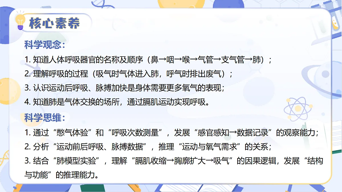 17513376第3页