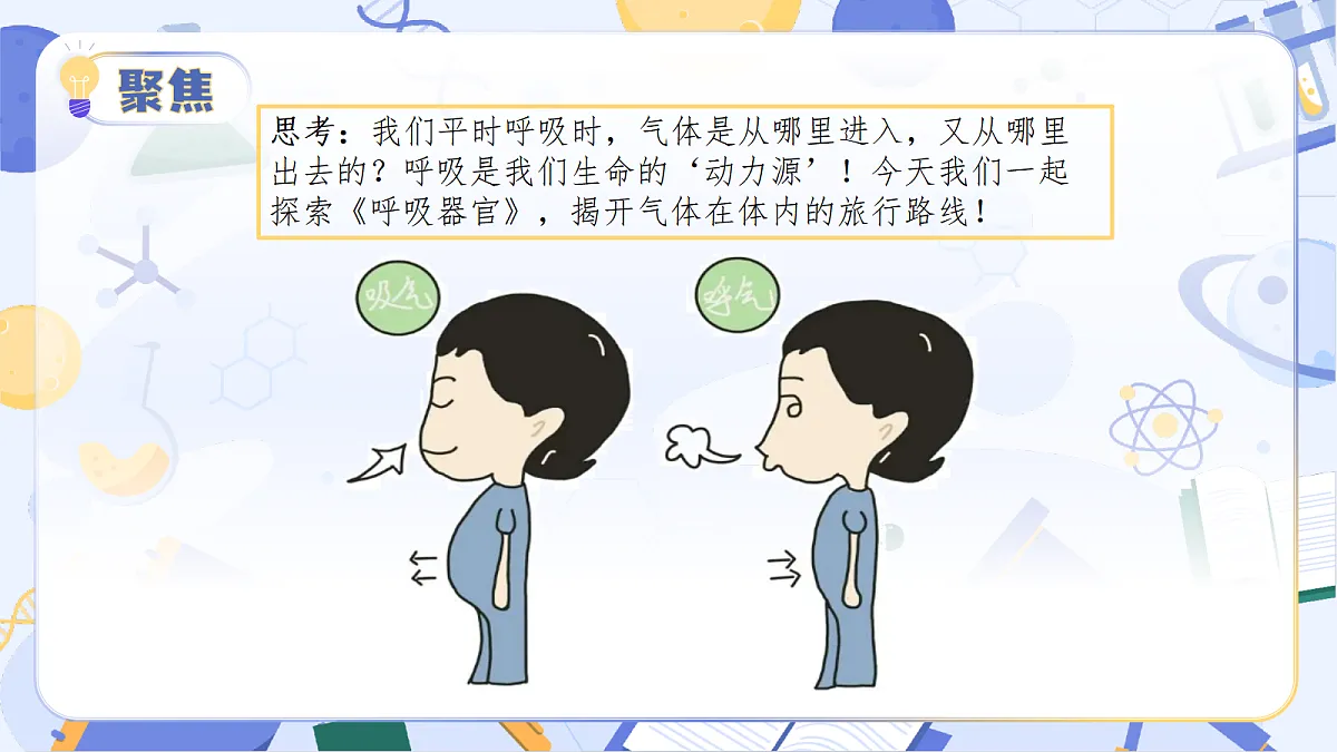 17513376第7页