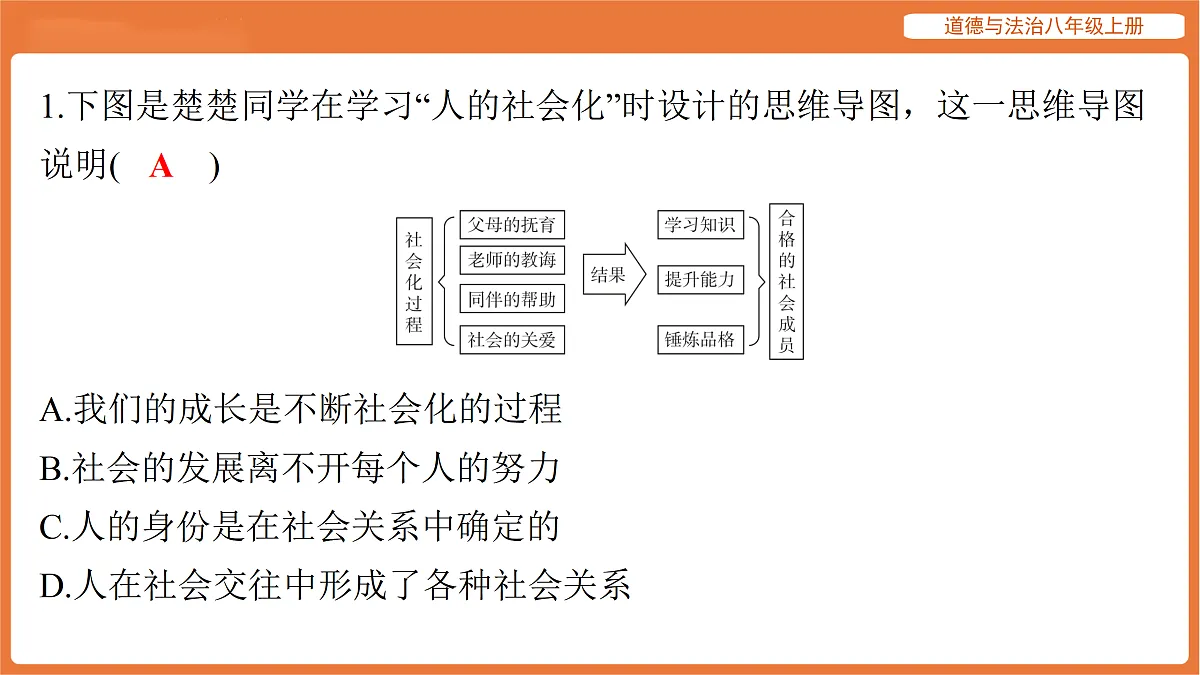 17515949第2页