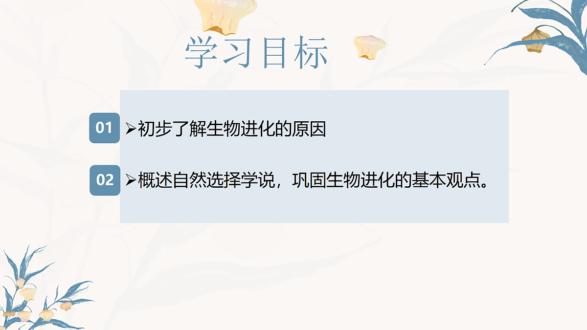 【核心素养目标】冀少版初中生物八年级下册6.3.3《生物进化的原因》课件第2页