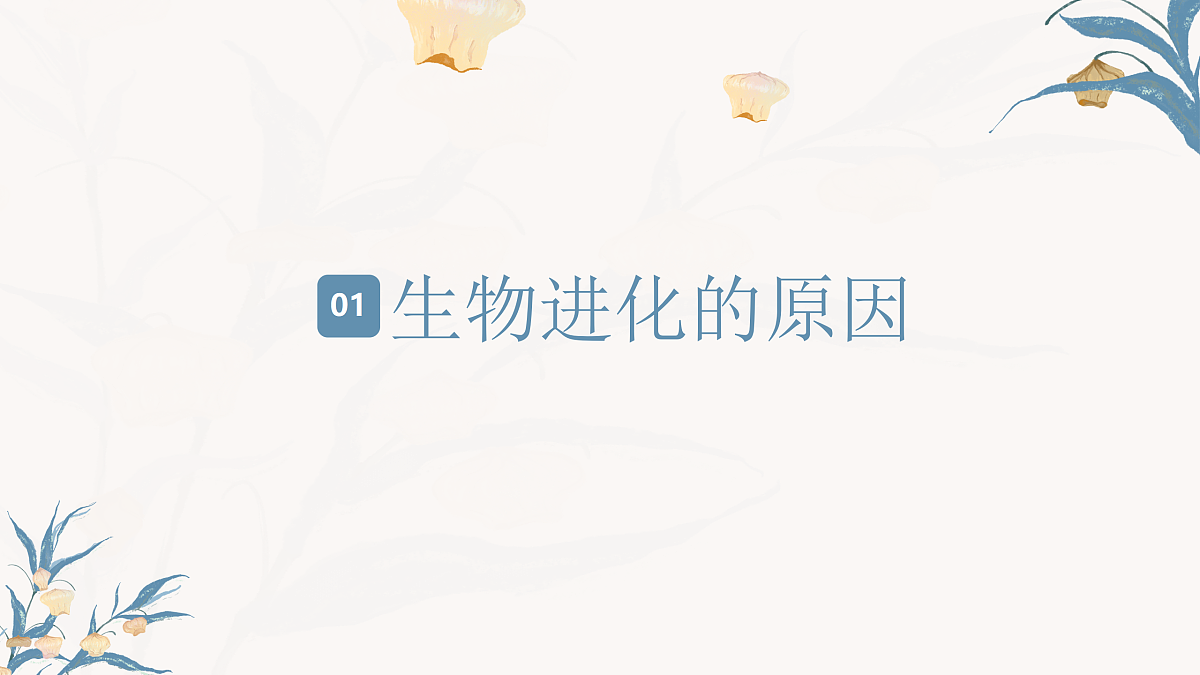 【核心素养目标】冀少版初中生物八年级下册6.3.3《生物进化的原因》课件第4页