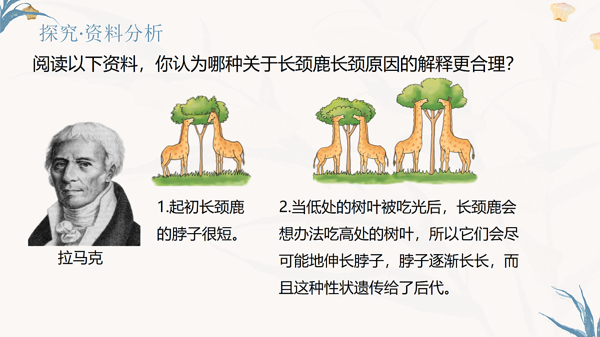 【核心素养目标】冀少版初中生物八年级下册6.3.3《生物进化的原因》课件第5页