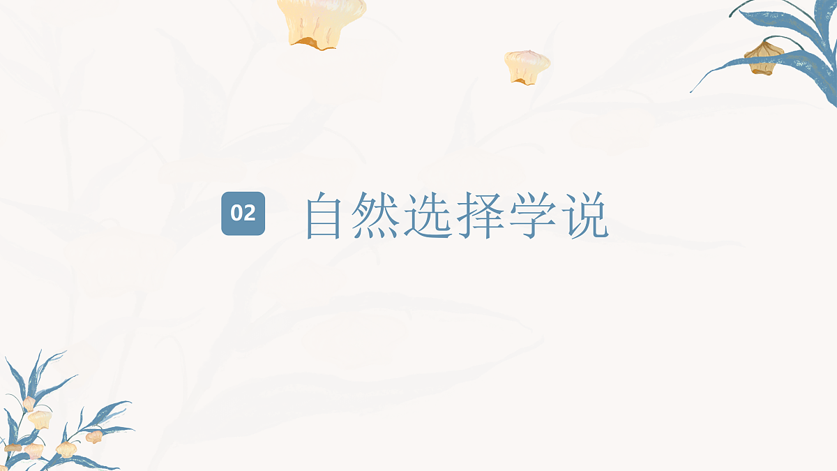 【核心素养目标】冀少版初中生物八年级下册6.3.3《生物进化的原因》课件第8页