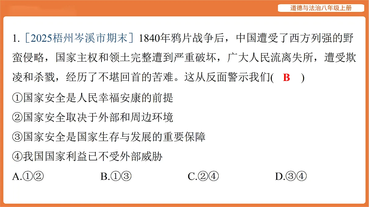 17516067第2页
