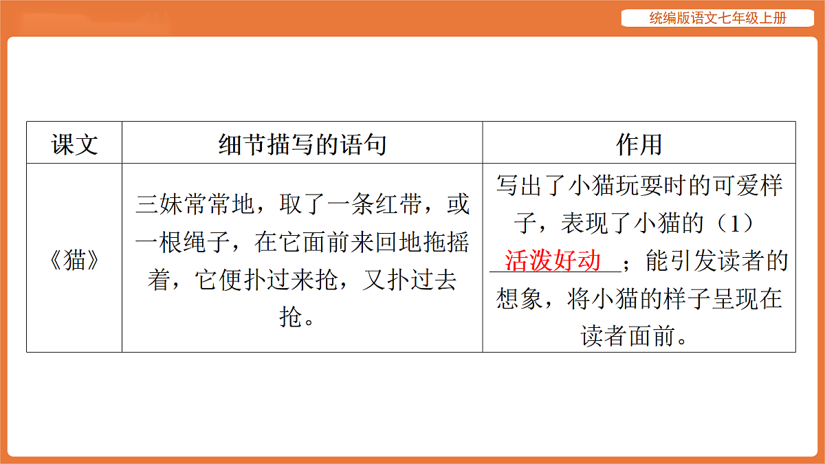 17516795第3页