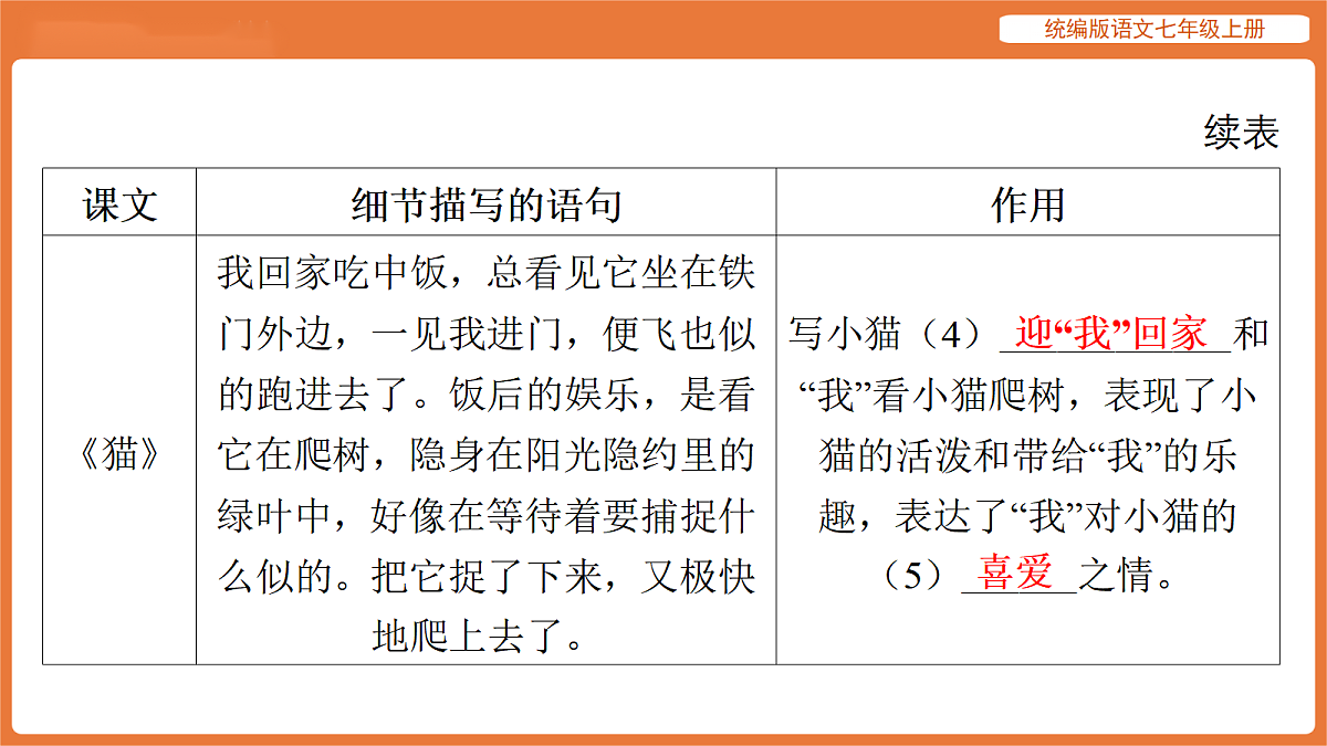 17516795第5页