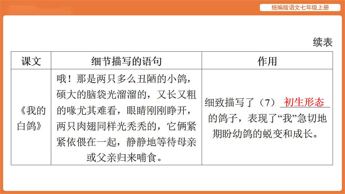 17516795第7页