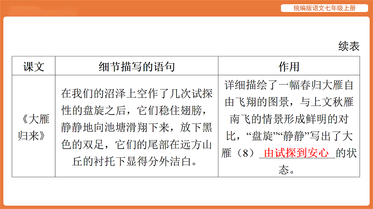 17516795第8页