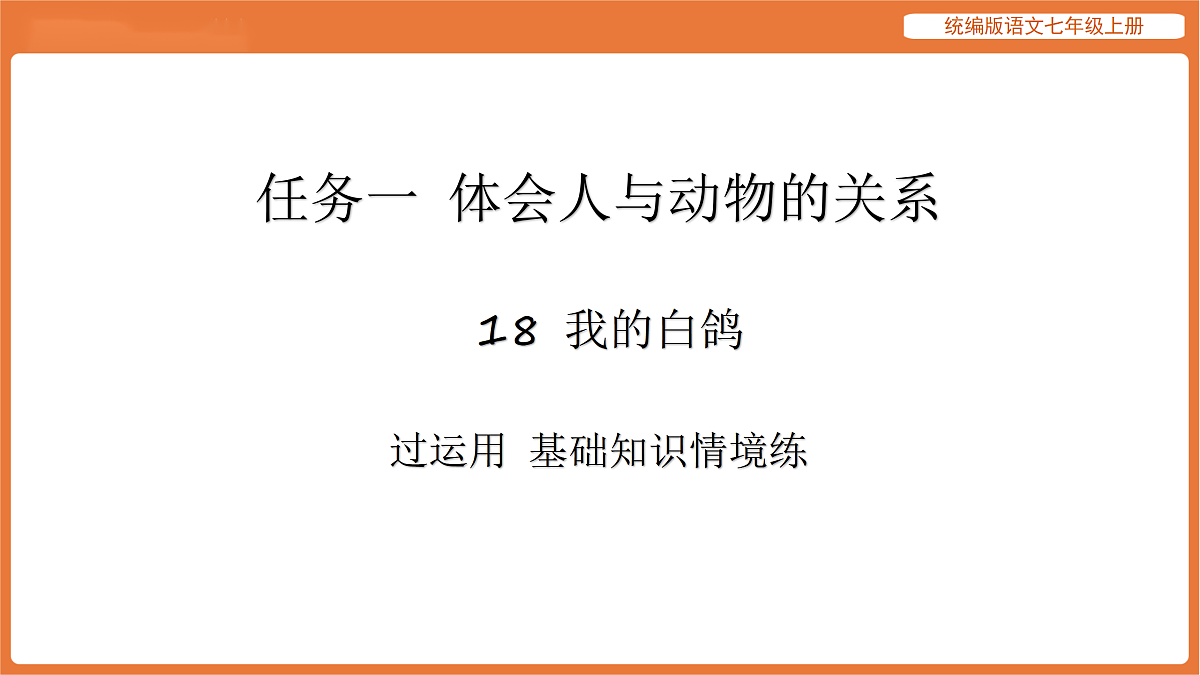 17516819第1页