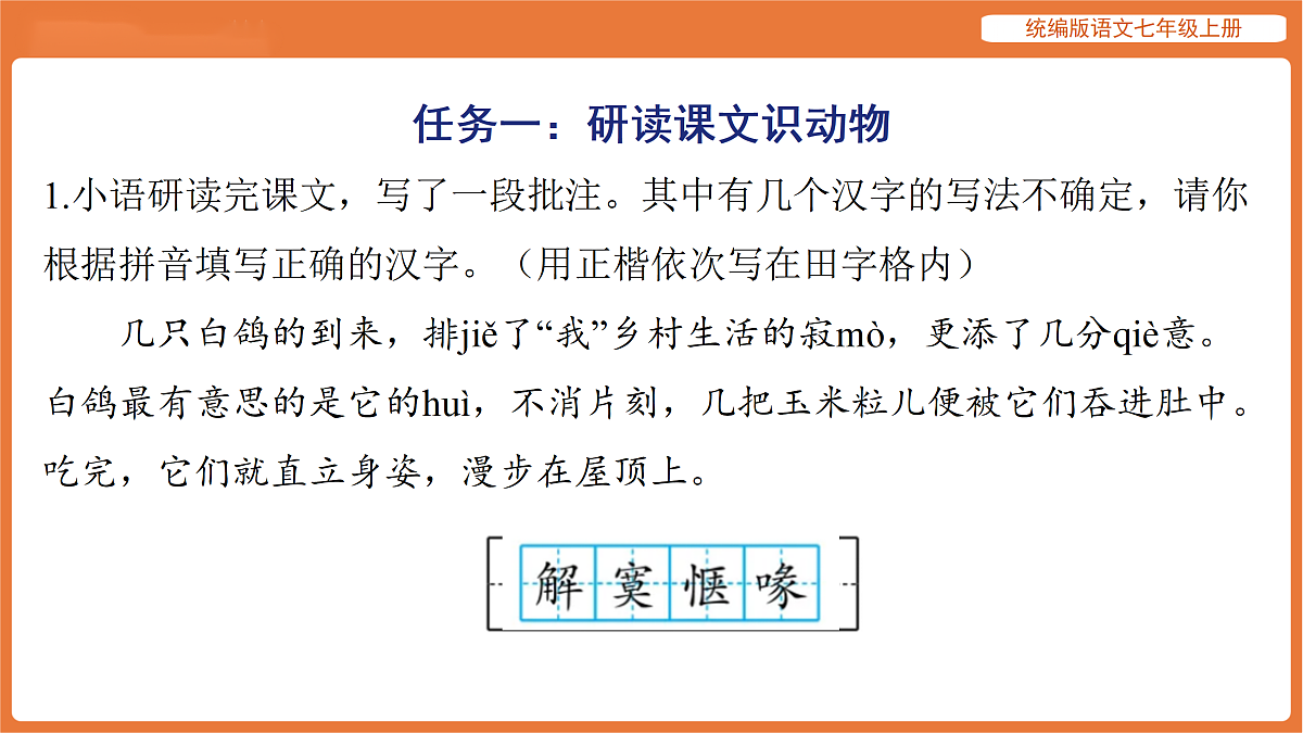 17516819第3页