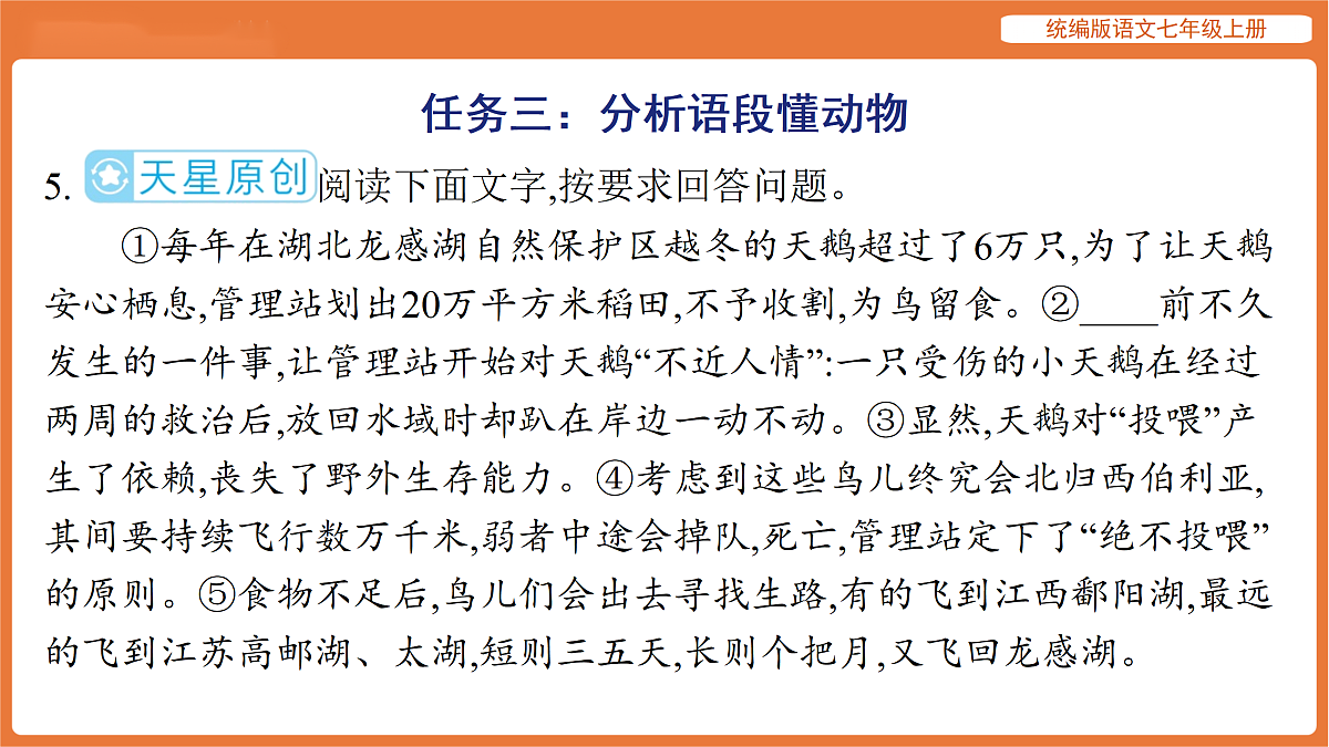 17516819第8页