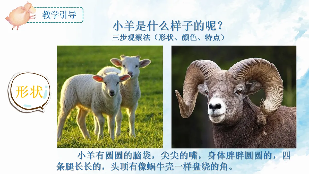 17517549第5页