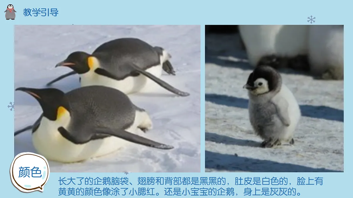 17517550第6页