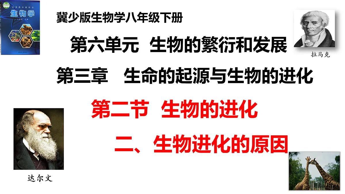 17520479第1页