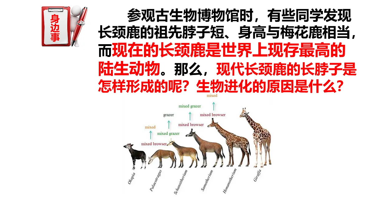17520479第2页