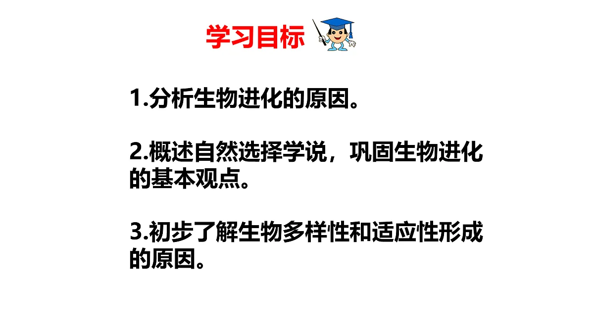 17520479第3页