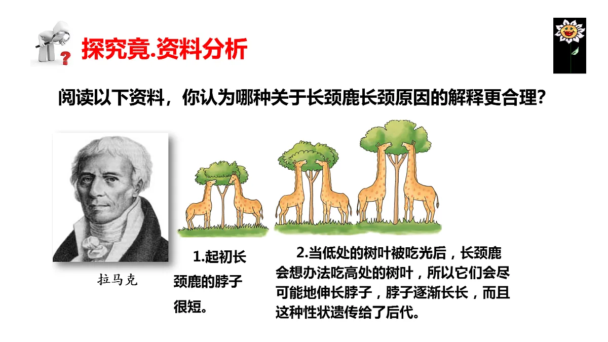 17520479第4页