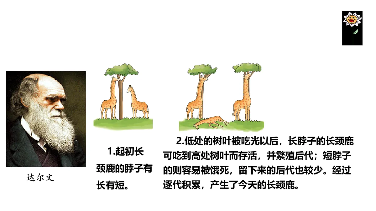 17520479第5页