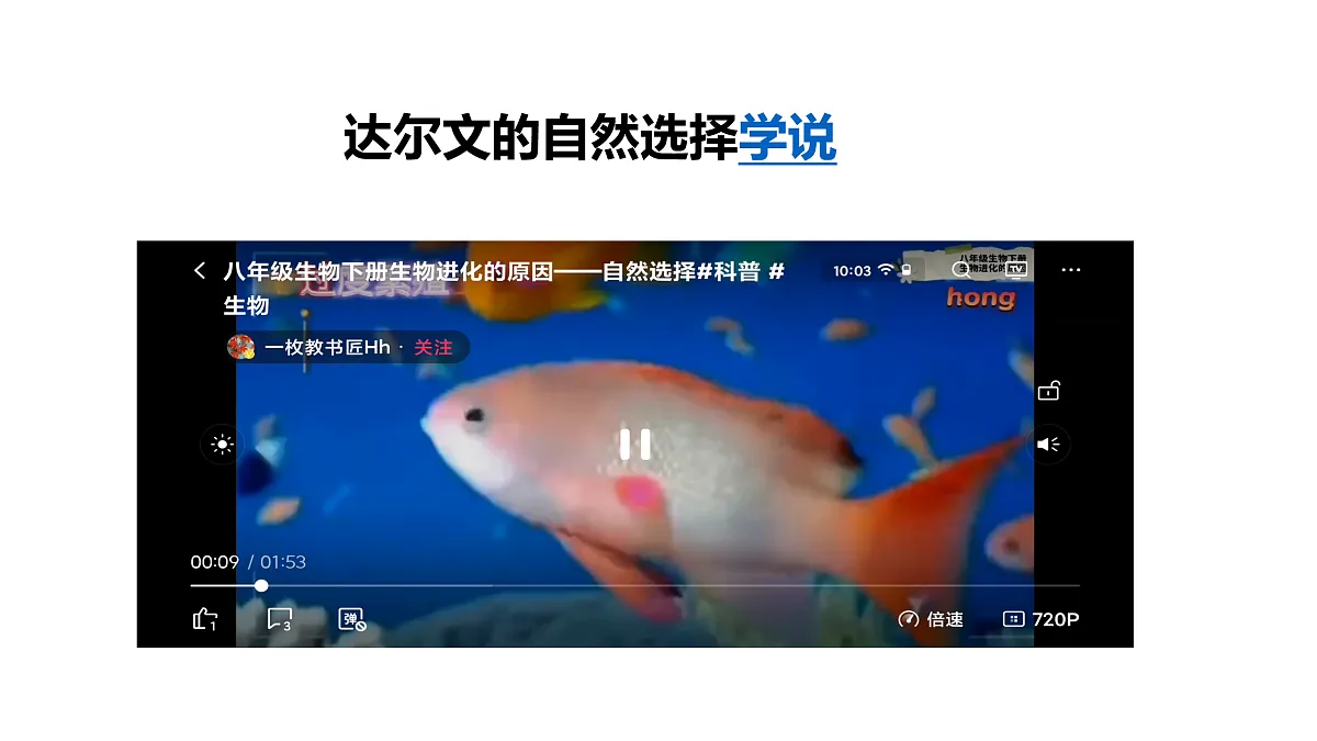 17520479第7页