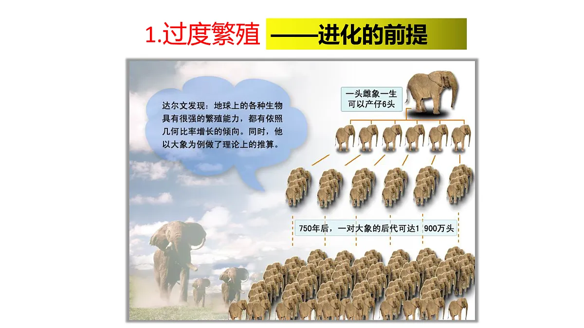 17520479第8页