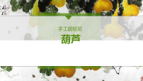 144、学前教育《葫芦》课件