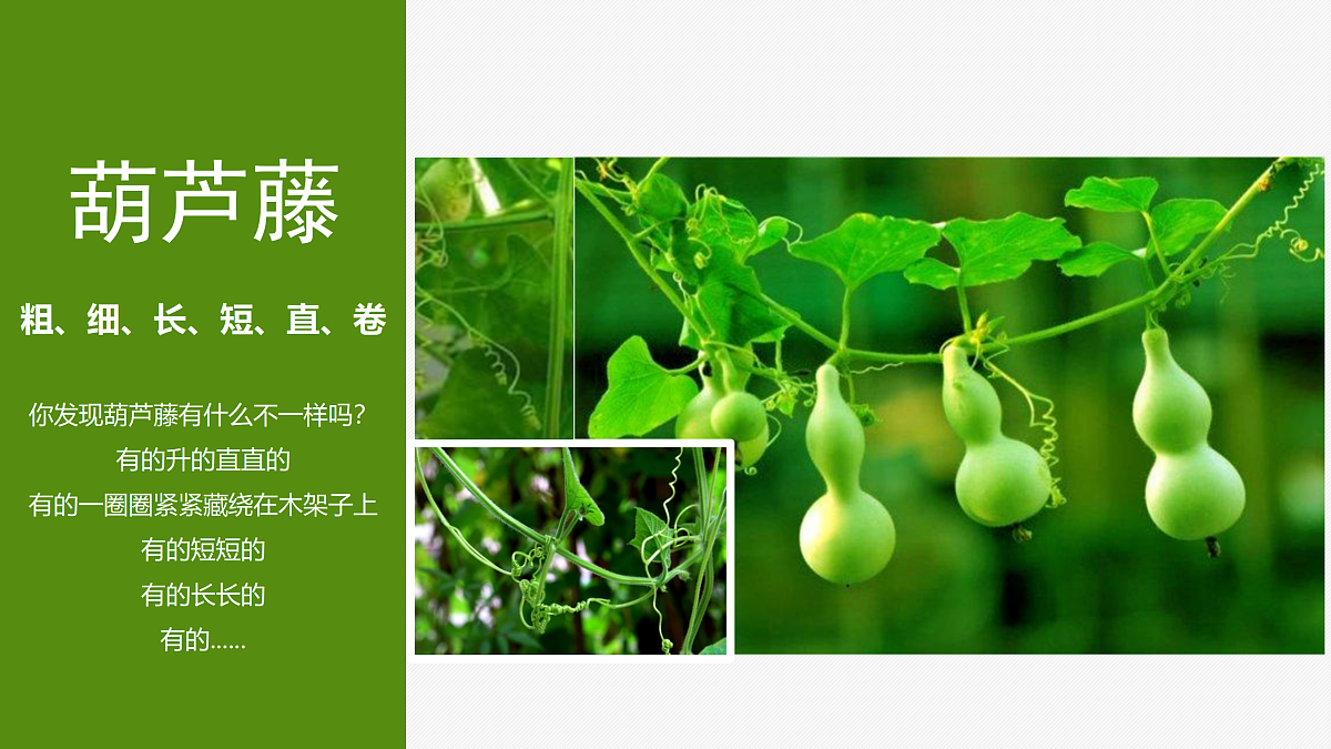 17521448第6页