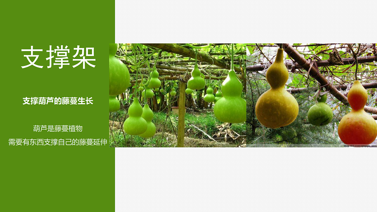 17521448第7页