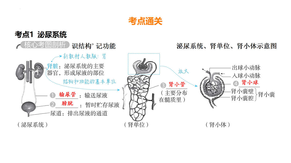 17525626第2页