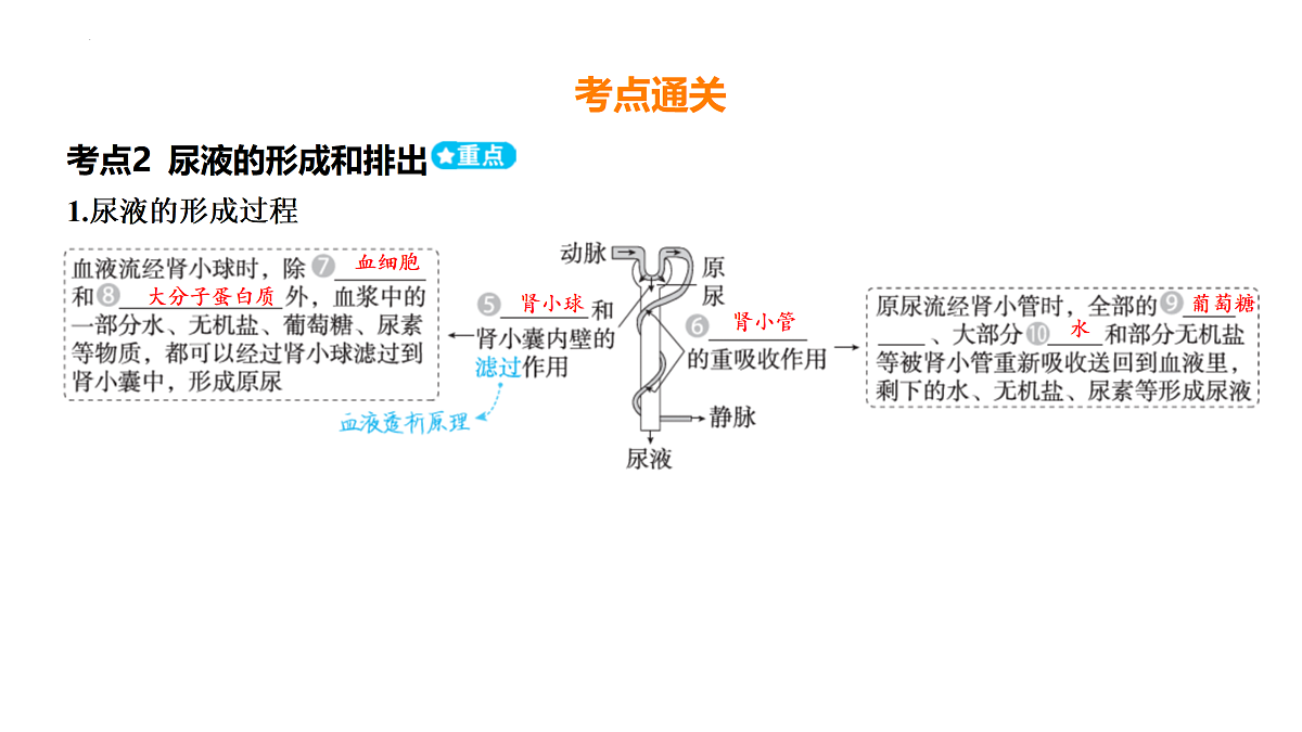 17525626第3页