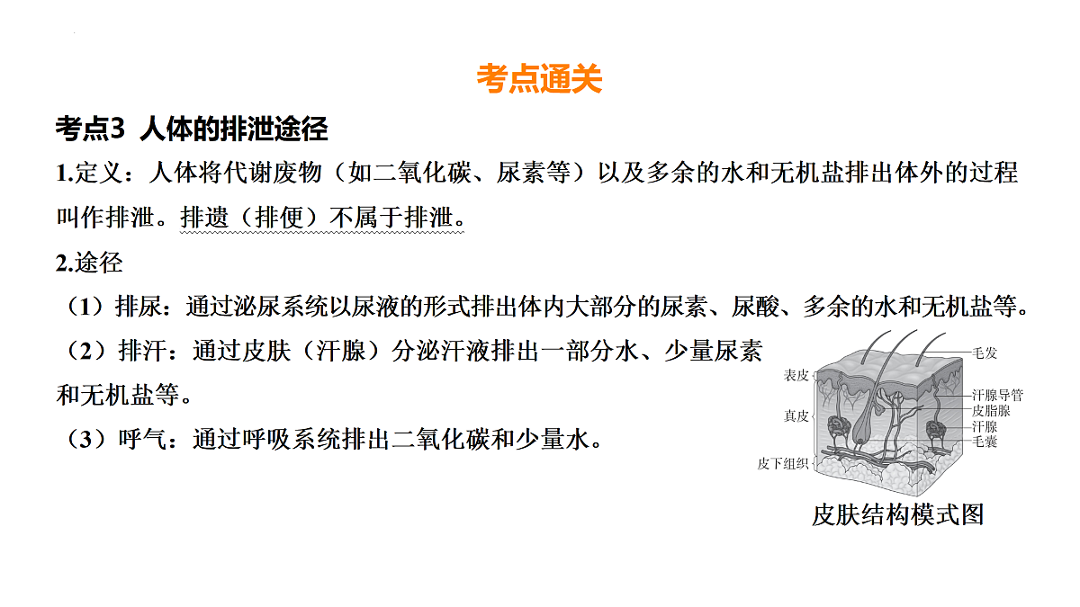 17525626第7页
