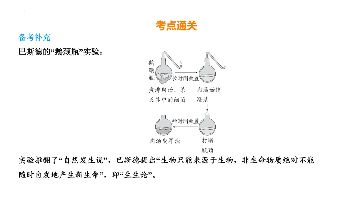 17525629第4页