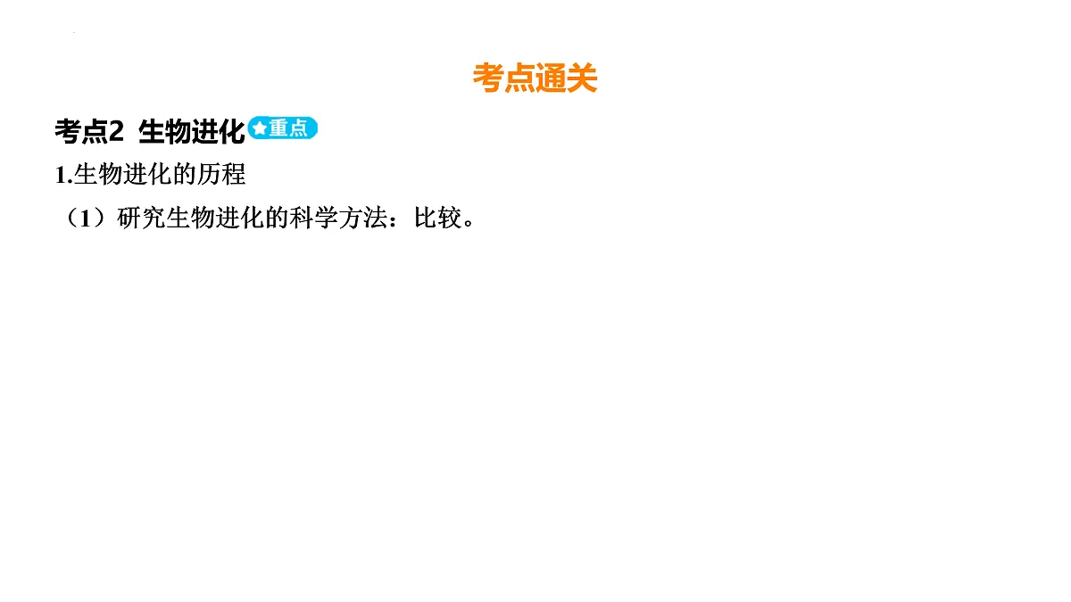 17525629第5页