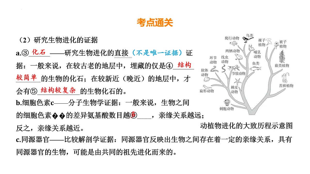 17525629第6页