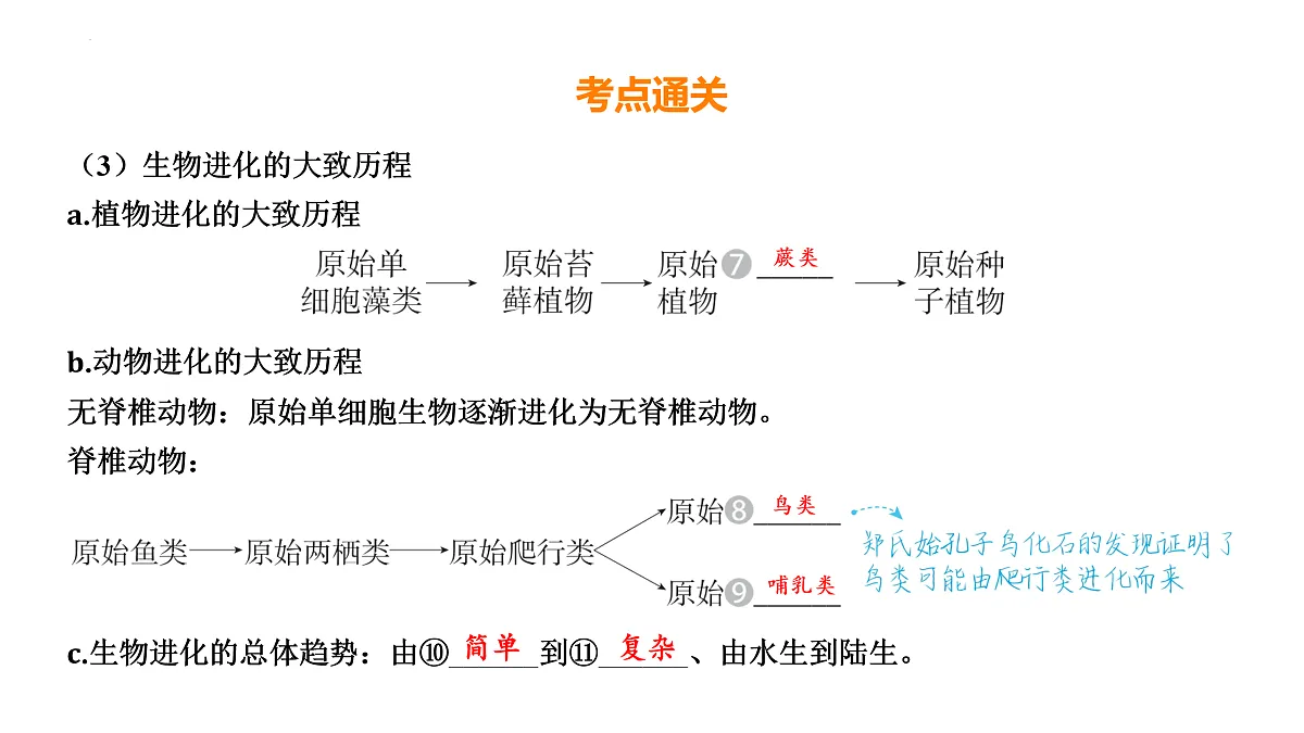 17525629第7页