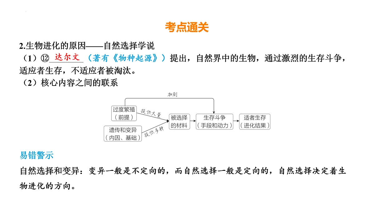 17525629第8页