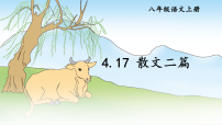 语文八年级上册(2024)17*散文二篇课堂教学课件ppt