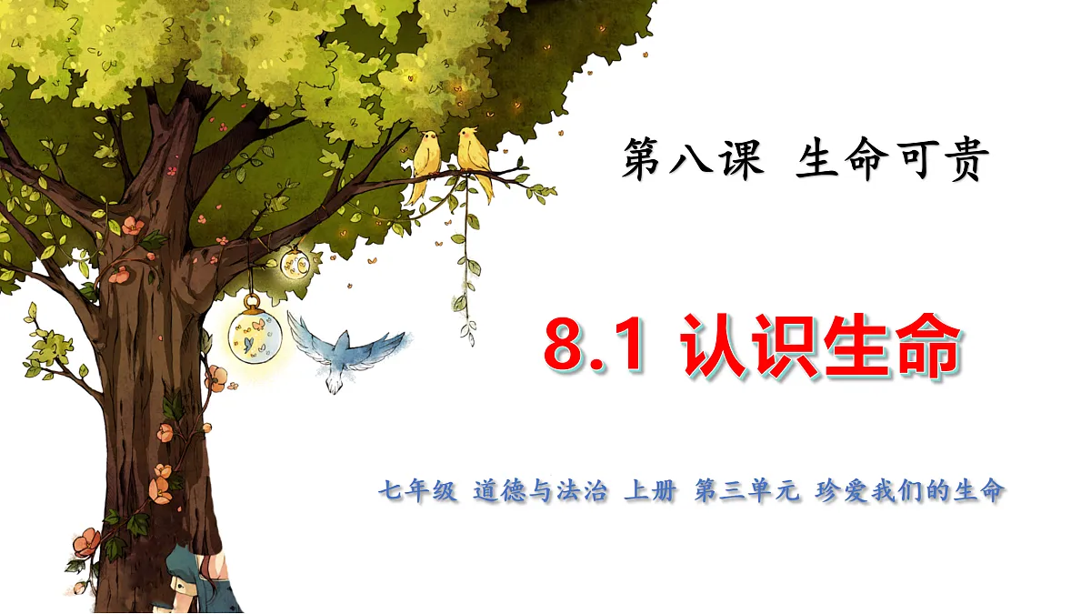 17526145第2页