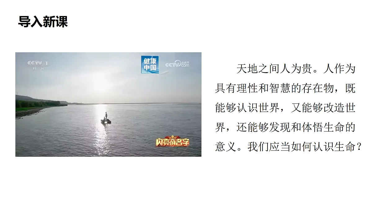 17526145第4页