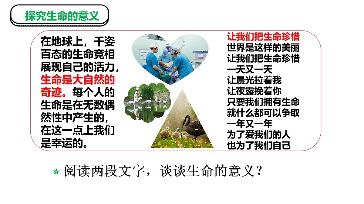 17526145第7页