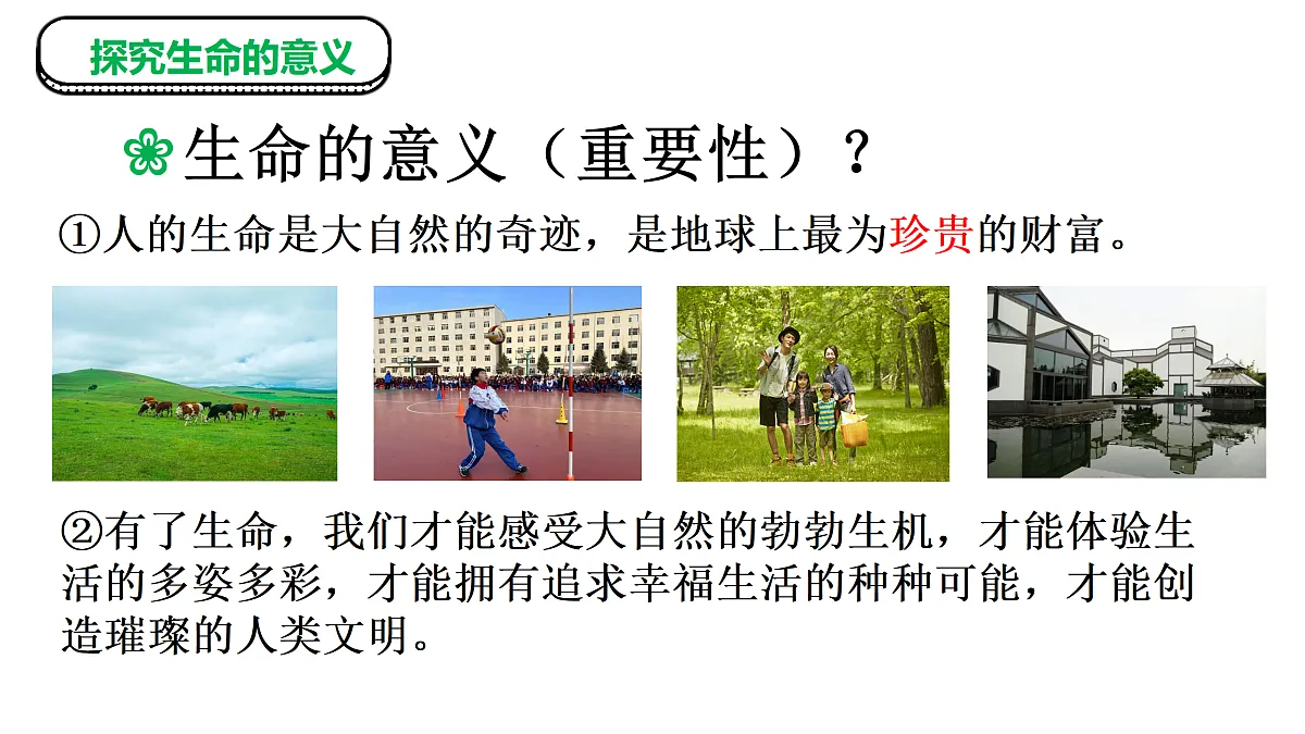 17526145第8页